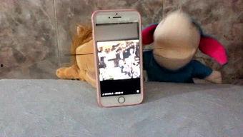 娱乐吃瓜酱手机